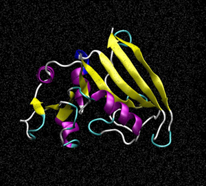 分子動力學(xué)(圖1)